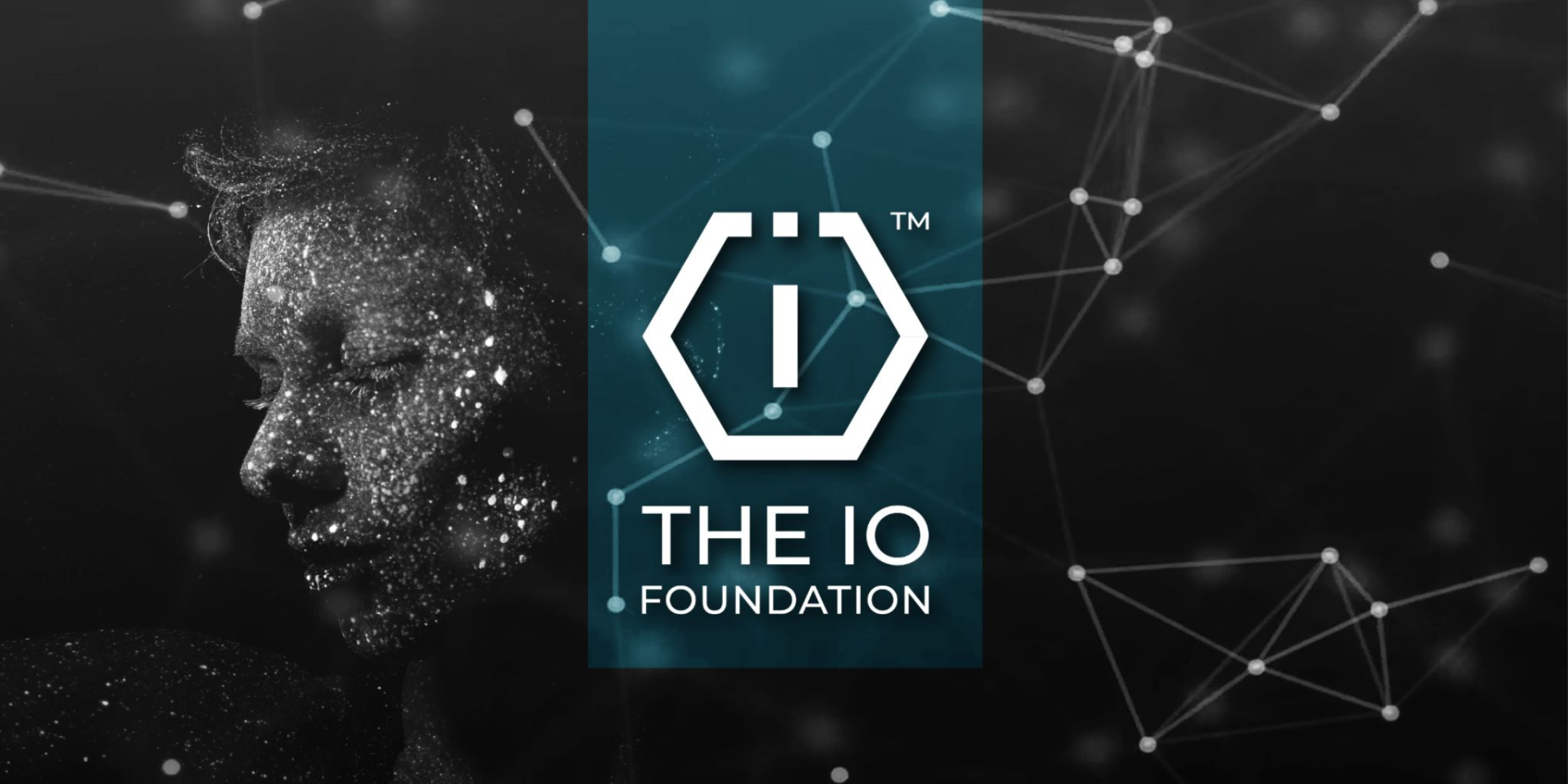 The IO Foundation