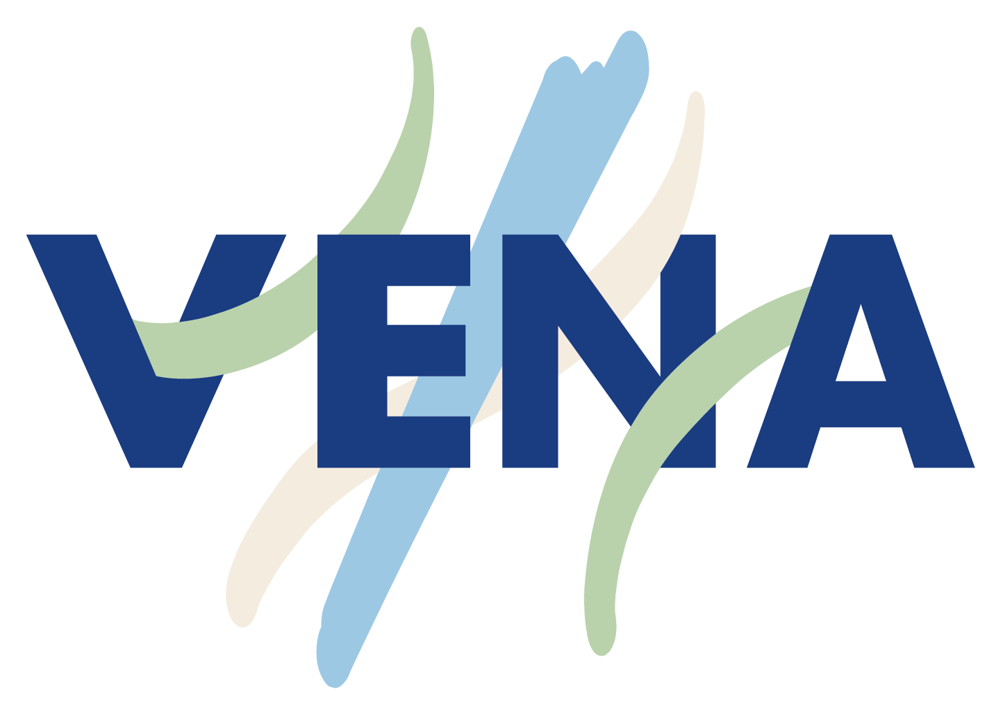 Vena Consultoria